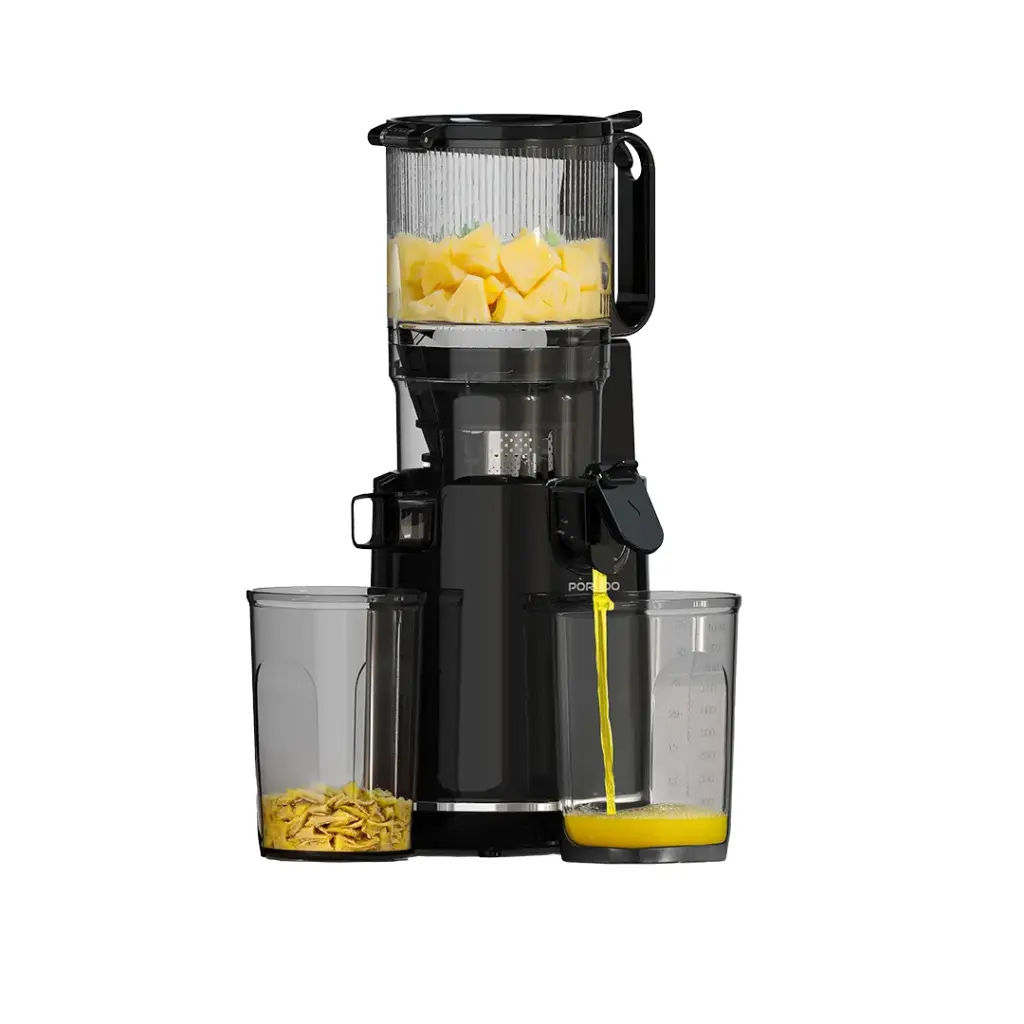آبمیوه‌گیر پرودو مدلCold Press Slow Juicer